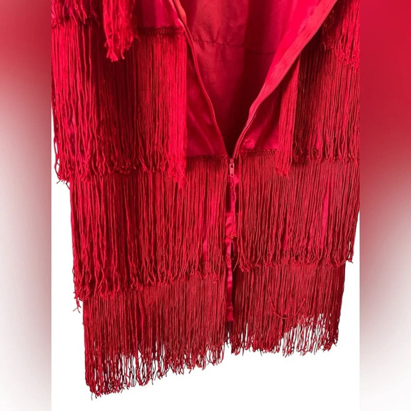 Red fringe flapper costume mini dress - Picture 5 of 6